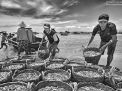 fishermen vietnam